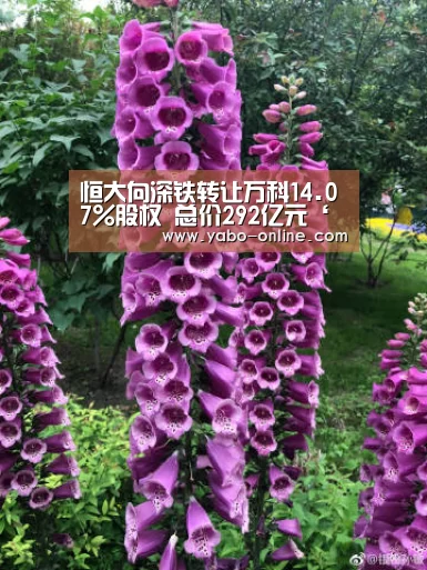 恒大向深铁转让万科14.07%股权 总价292亿元‘亚博官网’(图2) 亚博网站